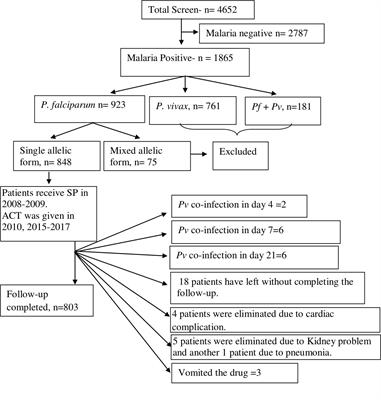 Genomic characterization of Plasmodium falciparum genes associated with anti-folate drug resistance and treatment outcomes in eastern India: A molecular surveillance study from 2008 to 2017